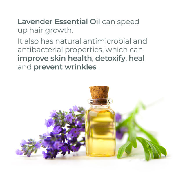 lavender benefits, hair growth